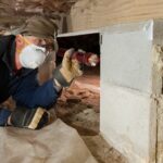 crawl space mold growth