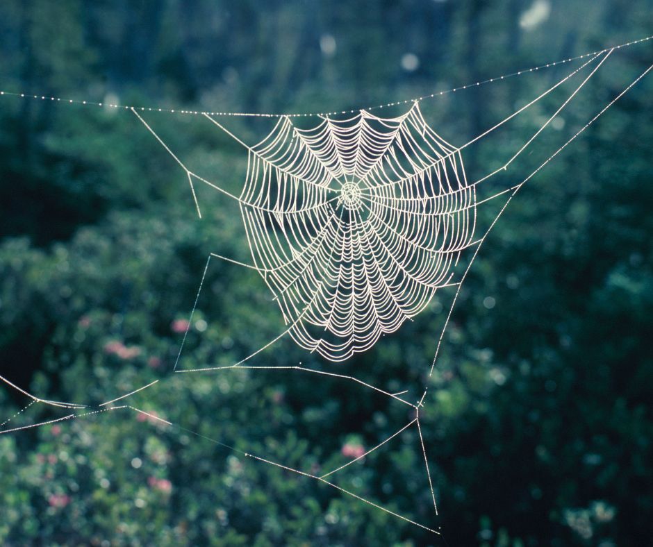 hanging spider web design