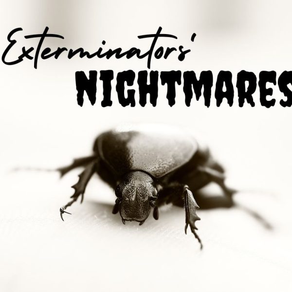 Exterminators' Nightmares for Halloween