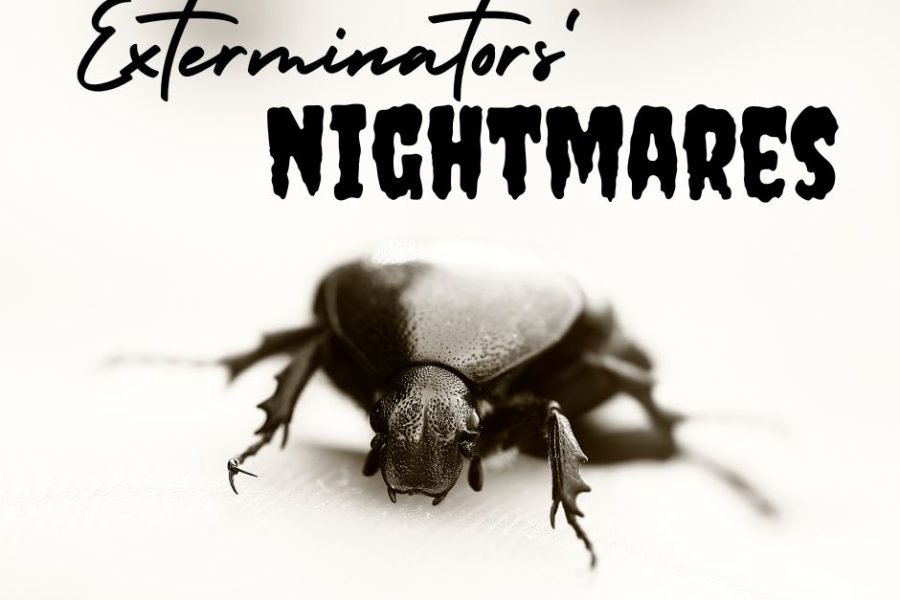 Exterminators' Nightmares for Halloween