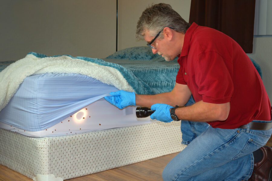 bed bug treatment move furniture out of bedroom